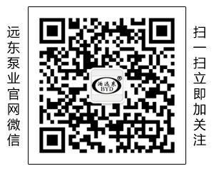 中國遠東泵業制造有限公司
