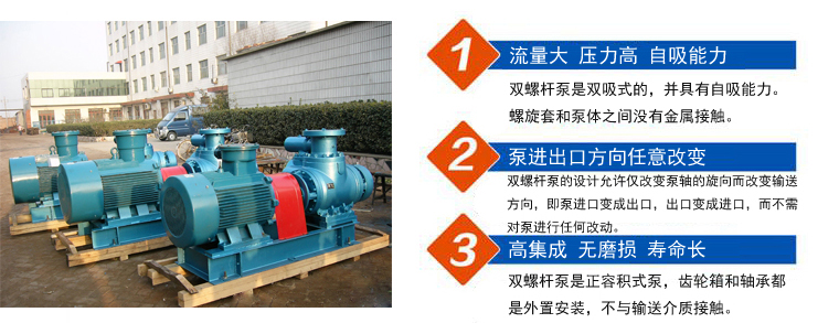 雙螺桿泵特點 雙螺桿泵特點